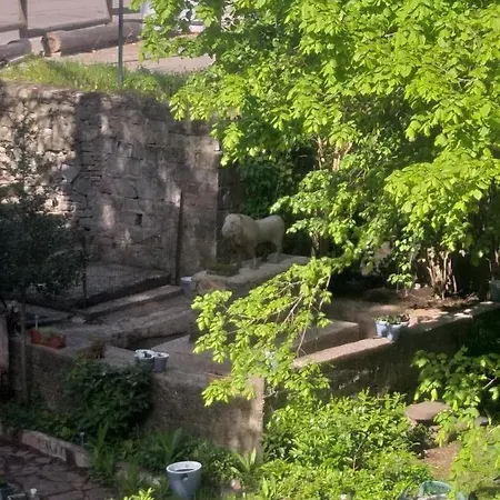 Soansa Du Gerardmer De La Sci Rsast - Col De La Schlucht *