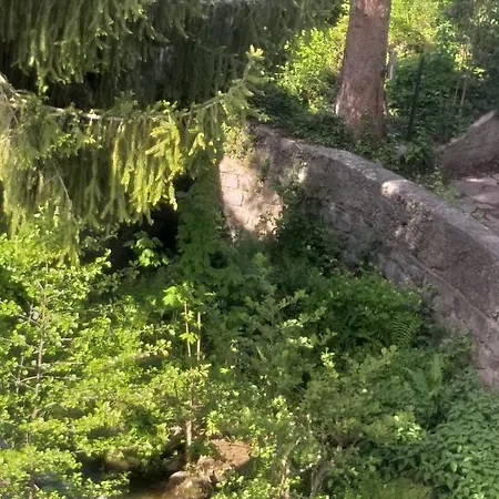 Soansa Du Gerardmer De La Sci Rsast - Col De La Schlucht *