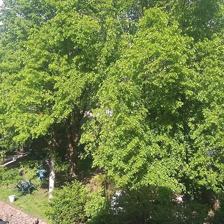 Résidence Soansa Du Gérardmer - Col De La Schlucht Soultzeren