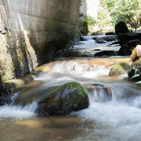 Hotel Soansa Du Gerardmer De La Sci Rsast - Col De La Schlucht *