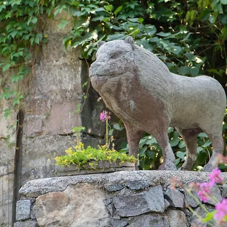 Hotel Soansa Du Gerardmer De La Sci Rsast - Col De La Schlucht