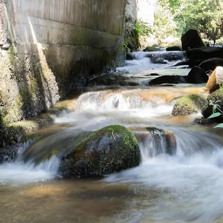 Hotel Résidence Soansa Du Gérardmer - Col De La Schlucht *