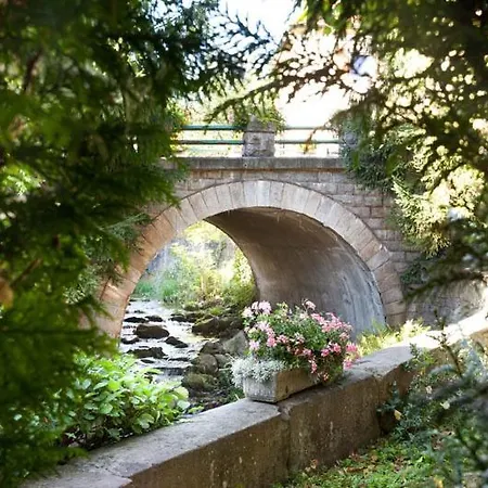 Soansa Du Gerardmer De La Sci Rsast - Col De La Schlucht Hotel