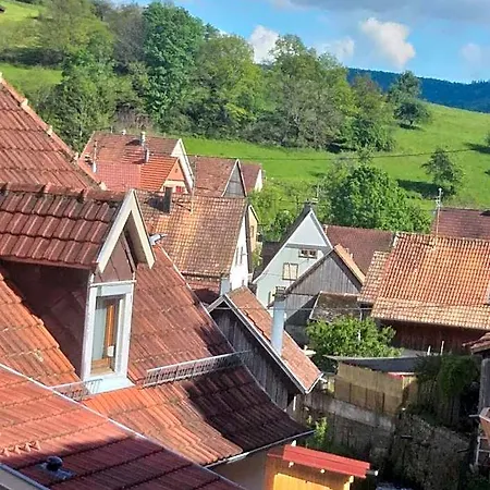 Hotel Résidence-chambres D'hôtes Du Gérardmer Chez Raoul-