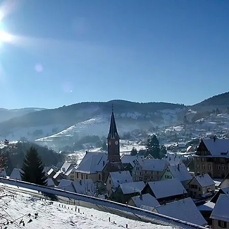 Hotel Résidence-chambres D'hôtes Du Gérardmer Chez Raoul-