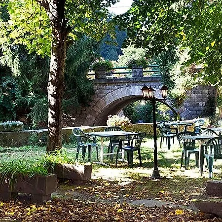 Résidence-chambres D'hôtes Du Gérardmer Chez Raoul- *