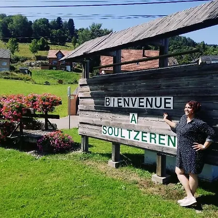 Résidence Soansa Du Gérardmer - Col De La Schlucht *