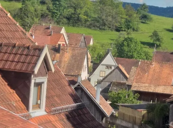 Residence Privee Du Gerardmer Chez Raoul- Col De La Schlucht מלון