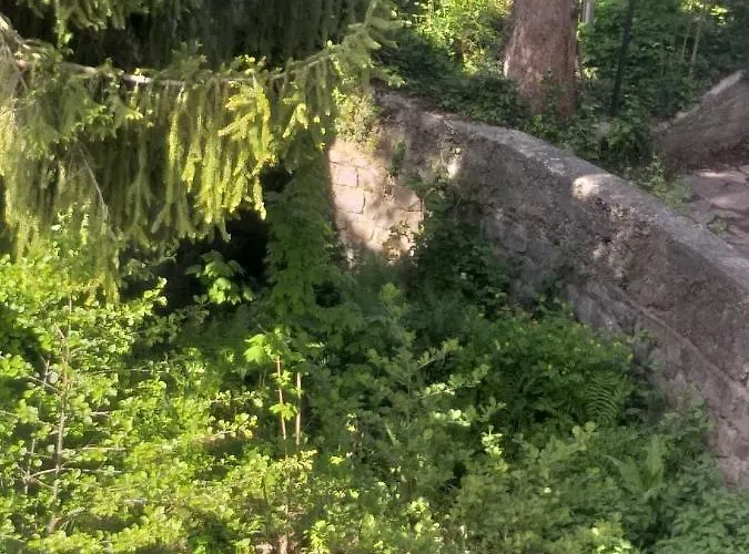 Residence Privee Du Gerardmer Chez Raoul- Col De La Schlucht *